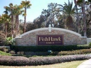 Fishhawk real estate listings